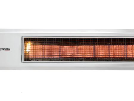 Twin Eagles 48  Gas Infrared Heater Online Sale