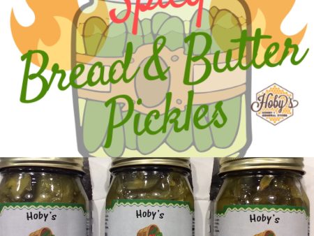 Spicy Hot Bread & Butter Pickles 3-Pack (All Natural) (16oz. jars) For Cheap