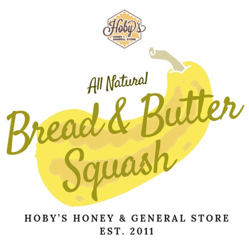 Bread & Butter Squash: Single Jar (All Natural) (16oz. jar) For Cheap