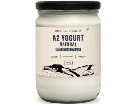 A2 Yogurt Natural, 500gm For Discount